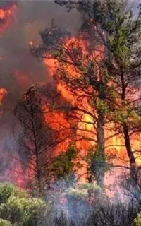 بیمه آتش سوزی ویژه شرایط جنگ