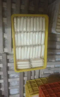 استخدام