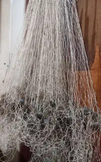 تورماهیگیری )سالی)ماشک(سالیک
