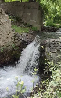 تور یکروزه شاد کردینه طرقبه