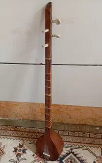ساز خواننده ای سالم