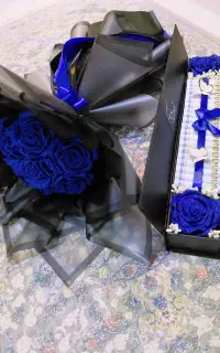 باکس پول اقتصادی و سفارشی