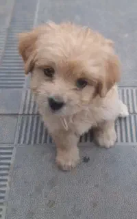 پسر ۳ماهه
