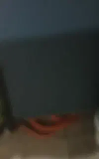 بوفه