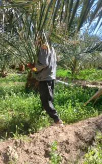 سلام