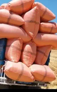 فروش کاه گرفته شده تحویل درب منزل