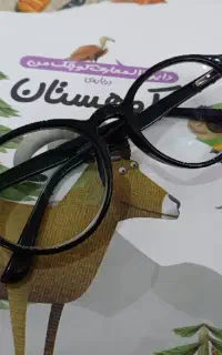 فریم عینک