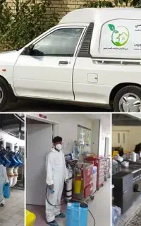 شرکت سمپاشی سوسک