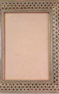 قاب خاتم نو