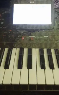 ارگ pa1000