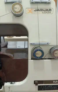 سردوز جگوار