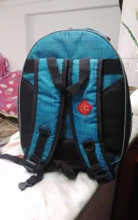 ساک گربه