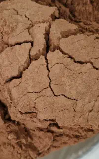 پودر کاکائو، نسکافه گلد هند، انواع قهوه و پودریجات