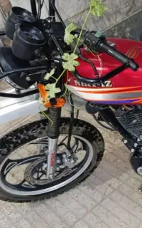 موتور نیکتاز شکاری
