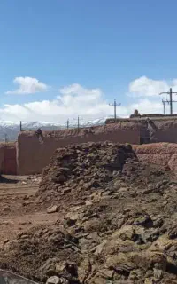 کودگوسفندی