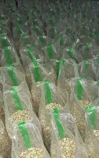 گندم ارزن دان مخلوط خوراک پرنده