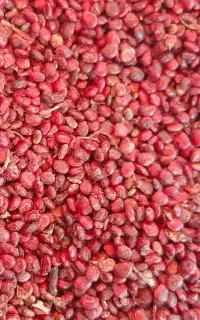 سماق قرمز نکوبیده(آسیاب نشده)