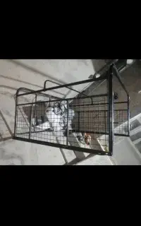 اتاق پراید با چادر