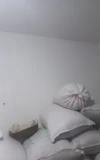 کاه زابل
