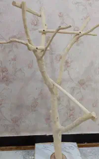 درختچه پرندگان