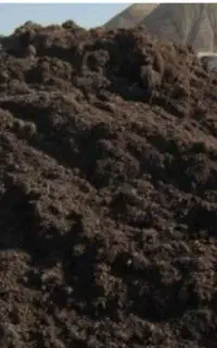 کود