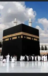 فیش حج واجب