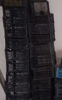سبد گوجه سبد انگور