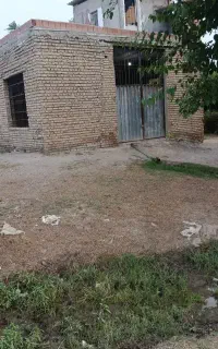 نگهبان دائمی