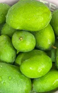 انبه سبز مخصوص ترشی