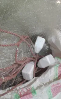 تور ماهی گیری