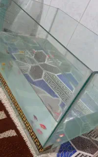 ماهی و اکواریوم