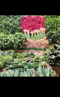 سبزی تازه روزانه