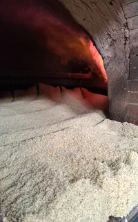 کنجد ایرانی و پاکستانی ،کنجد قنادی‌و روغنگیری