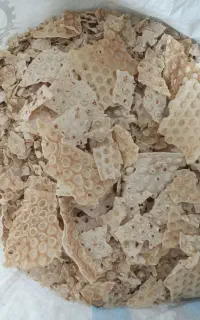 نون‌خشک‌