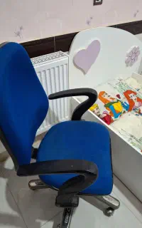 صندلی چرخدار دار