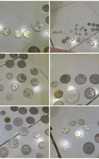 سالم بدون هیچ مشکلی سکه ها باهم هستن