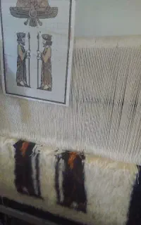 فروش دارقالی بانخ ووسایل بافت
