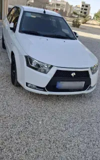 دنا معمولی تیپ 2