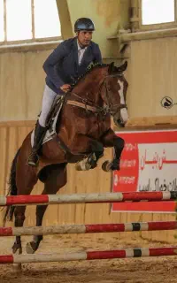 آموزش سوارکاری(مبتدی تا پیشرفته)