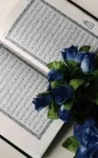 سرکتاب