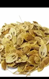 گلپر تازه خشک حدود ۲و ۳ کیلو