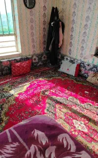 کار ونضافت