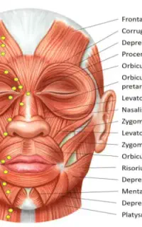 تخفیف عیدتاعید خدمات بوتاکس،ژل،مطب پزشک در کردکوی