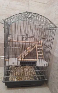 قفس بزرگ