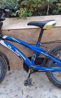 دوچرخه