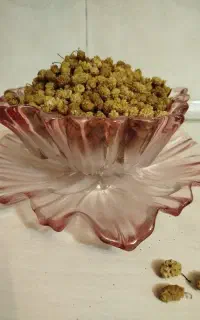 توت خشک امساله