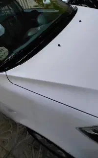 ساینا Sصفر