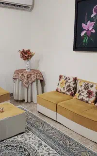 مبلمان سالم