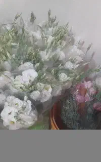 باسلام گل لیس طوس در همه رنگ
