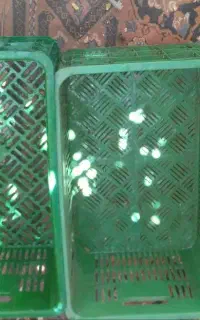سبد حمال